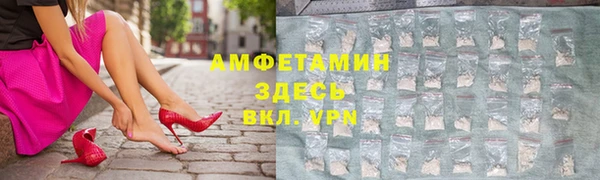 индика Аркадак