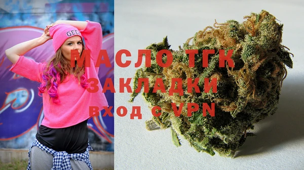 индика Аркадак