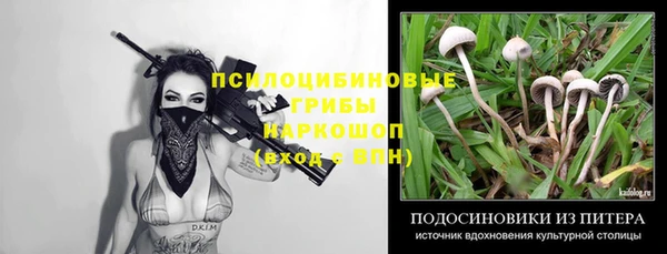 гидропоника Арсеньев