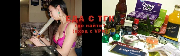индика Аркадак