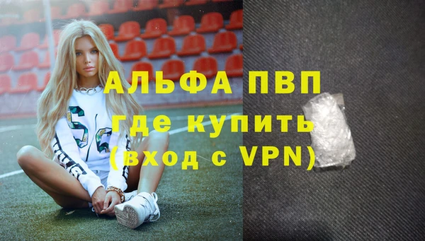 индика Аркадак
