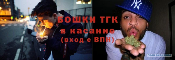 индика Аркадак