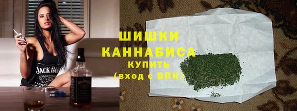 индика Аркадак